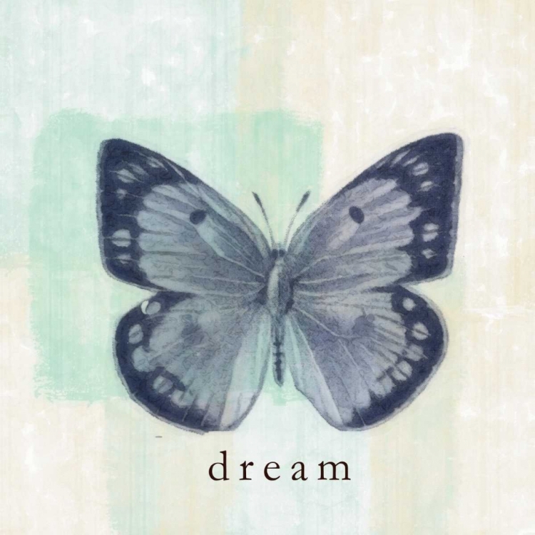 Picture of BUTTERFLY DREAM