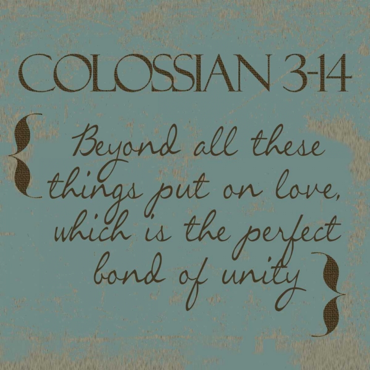 Picture of COLOSSIANS 3-14