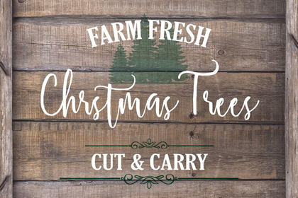 Picture of FARM FRESH CHRISTMAS TREES