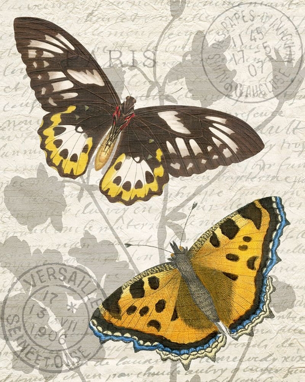 Picture of BUTTERFLY TRAVEL 1