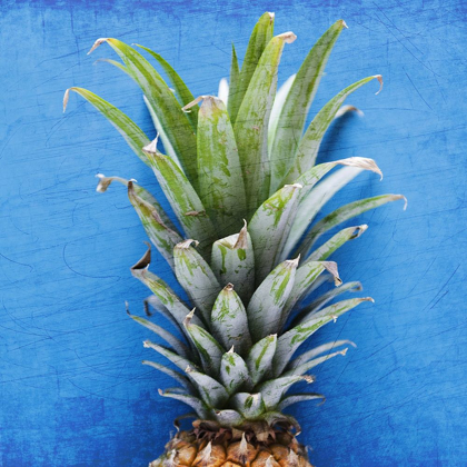 Picture of PINEAPPLE BLUE 1