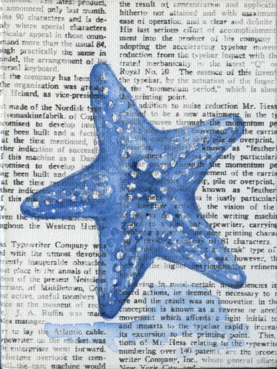 Picture of WRITTEN STARFISH