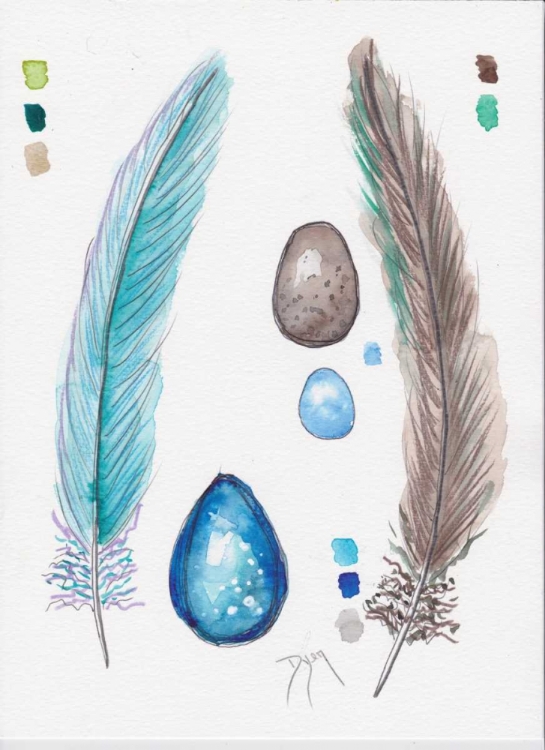 Picture of FEATHER AND EGG STUDY 2