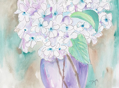 Picture of WHITE HYDRANGEA