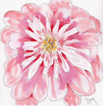 Picture of PEONY