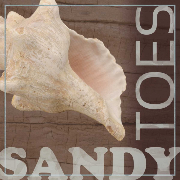 Picture of SANDY TOES