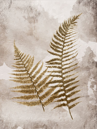 Picture of MUTE FERNS