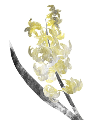 Picture of SINGLE FLOWER GREY YELLOW