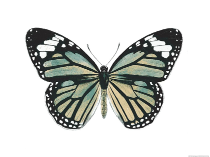 Picture of NEUTRAL BUTTERFLY