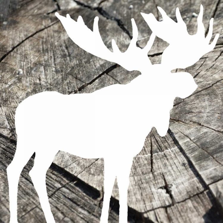 Picture of WOOD MOOSE REVERSE