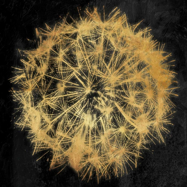 Picture of RICH GOLD DANDELION