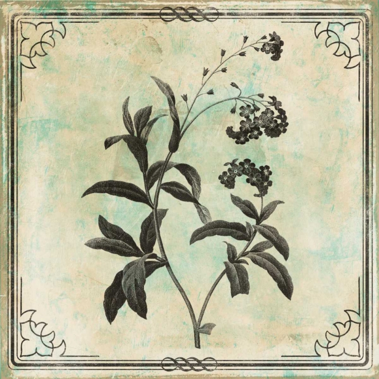 Picture of BORDERED STENCIL FLORAL