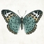 Picture of NEUTRAL BUTTERFLY 2