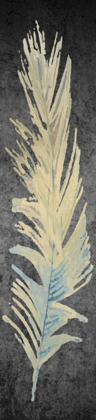 Picture of FEATHER ON BLACK 3