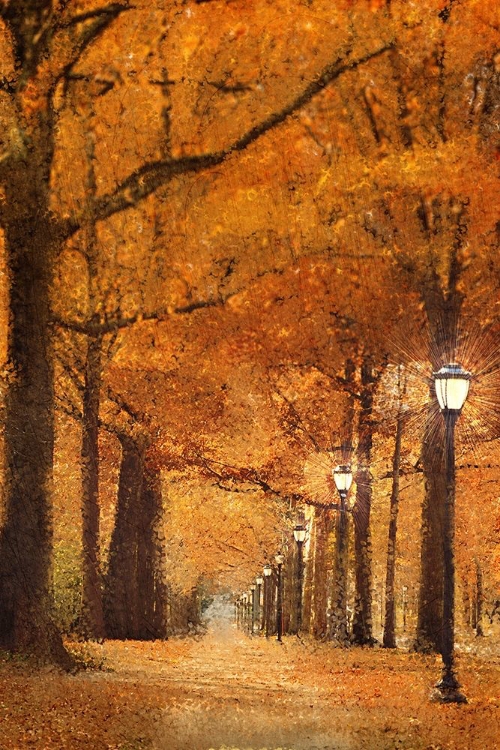 Picture of AUTUMN PATH