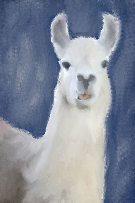 Picture of LLAMA ON NAVY