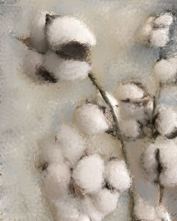 Picture of SPRAYS OF COTTON 2