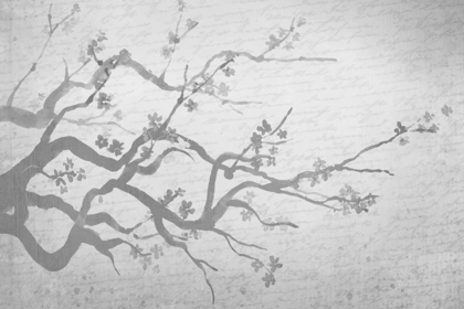 Picture of CHERRY BLOSSOM BRANCH IN SILVER