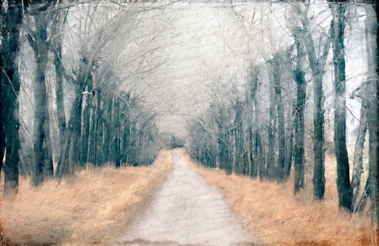 Picture of PATHWAY IN THE MIST