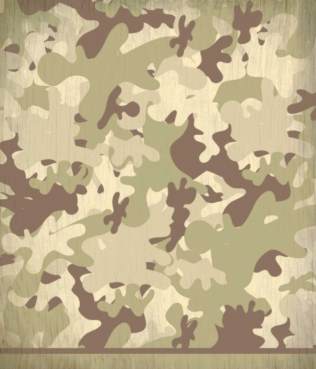 Picture of CAMO