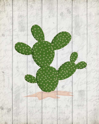 Picture of CACTUS 1