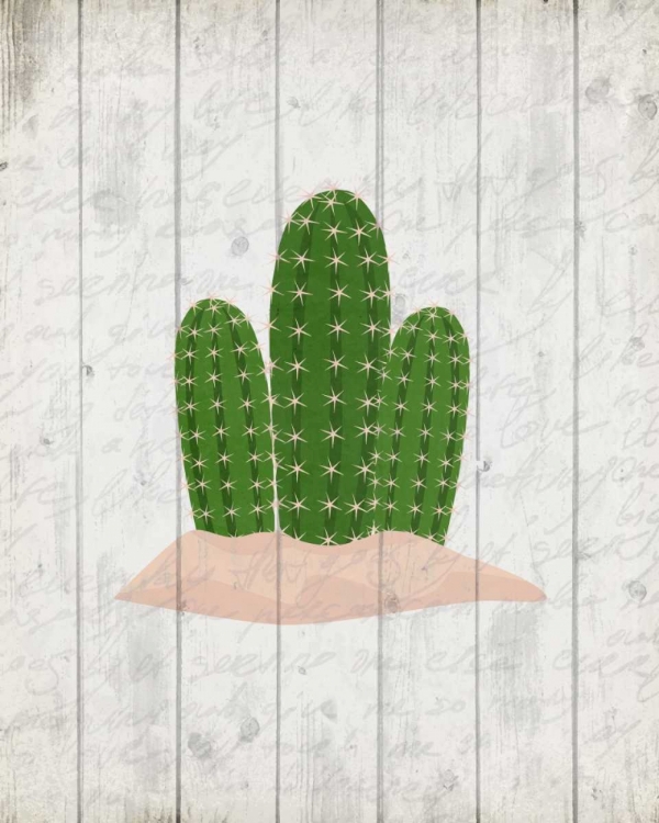 Picture of CACTUS 2