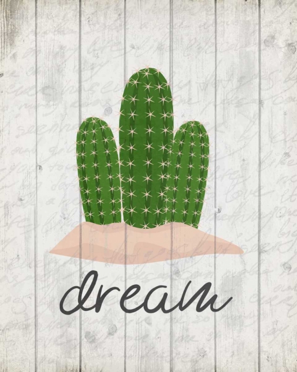 Picture of CACTUS DREAM