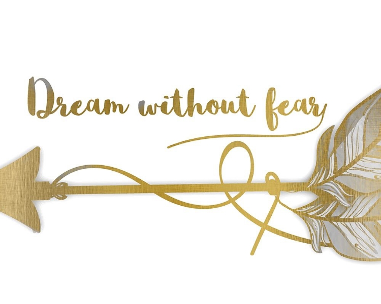 Picture of DREAM WITHOUT FEAR