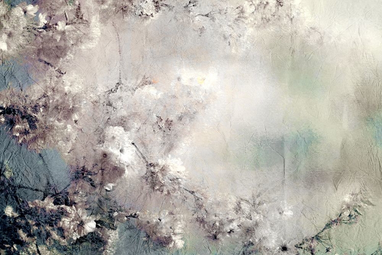 Picture of DREAMING OF CHERRY BLOSSOMS