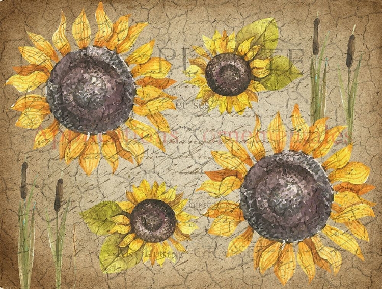 Picture of SUNFLOWER DAY