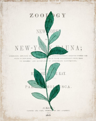 Picture of BOTANICAL PAGES 2