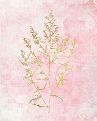 Picture of BOTANICAL PINK 1