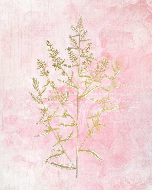 Picture of BOTANICAL PINK 1