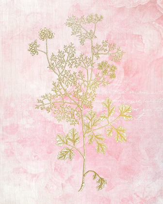 Picture of BOTANICAL PINK 3