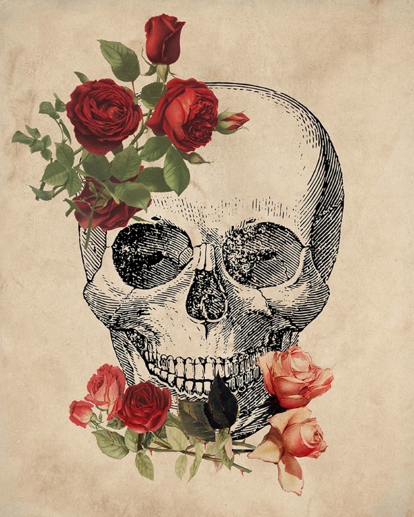 Picture of SKULL ROSES