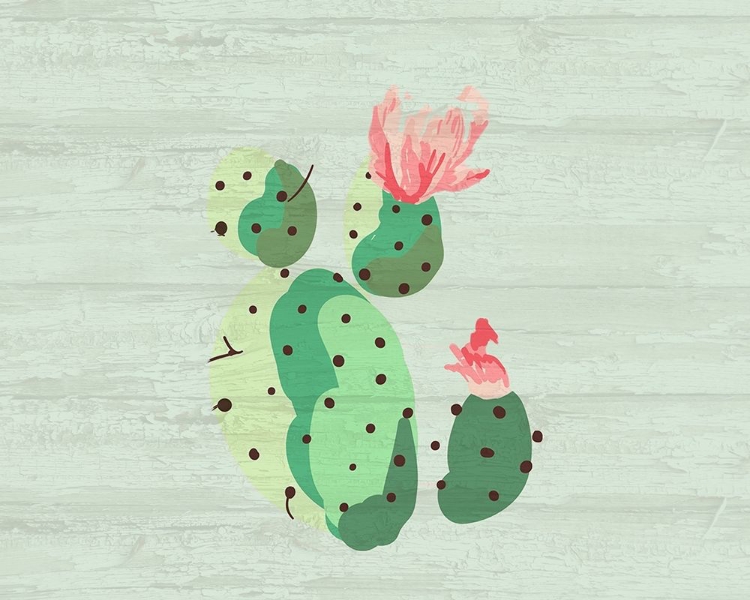 Picture of CACTI 2