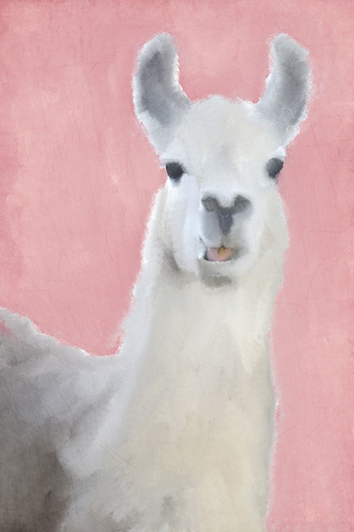 Picture of LLAMA ON PINK