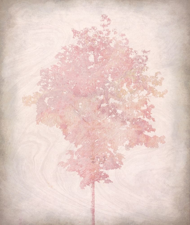 Picture of PINK TREE 1