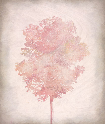 Picture of PINK TREE 2