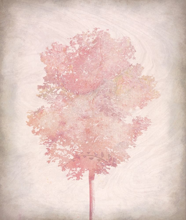 Picture of PINK TREE 2