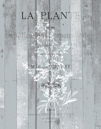 Picture of LA PLANTE 1