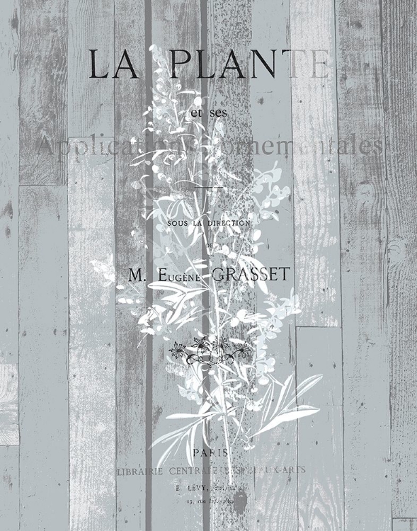 Picture of LA PLANTE 1