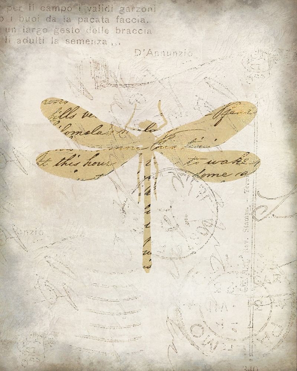 Picture of DRAGONFLY LETTERS 1