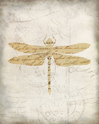 Picture of DRAGONFLY LETTERS 3