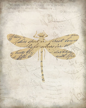 Picture of DRAGONFLY LETTERS 2