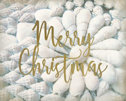 Picture of MERRY CHRISTMAS SHELLS