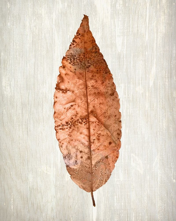 Picture of COPPER LEAVES 1