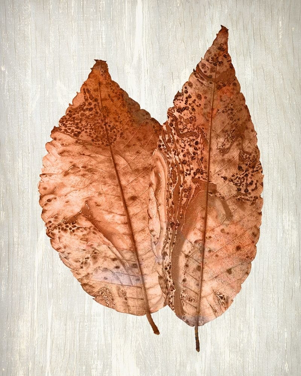 Picture of COPPER LEAVES 2