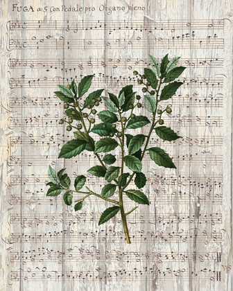 Picture of MUSICAL BOTANICAL 2