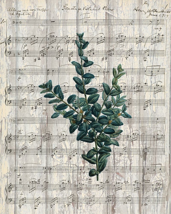 Picture of MUSICAL BOTANICAL 3